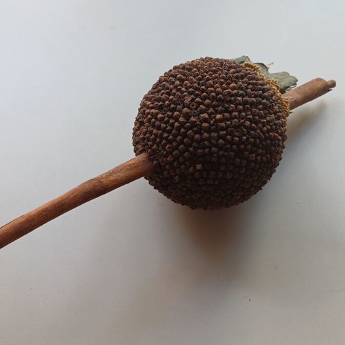 Decorative cinnamon wood and cloves ornament used