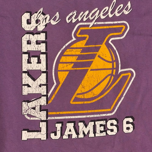 NBA Los Angeles Lakers LeBron James #6 graphic t-shirt used, purple XS