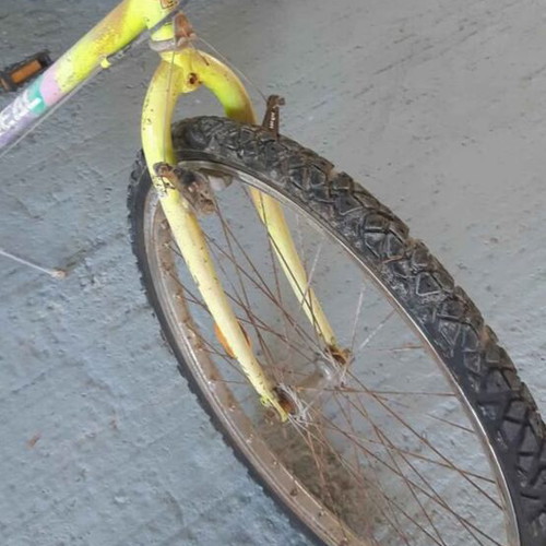 Bicycle used for beautiful rides, men's