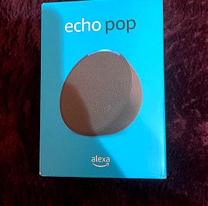 Alexa echo pop