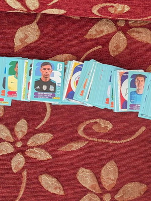 Panini FIFA World Cup 2026 stickers new