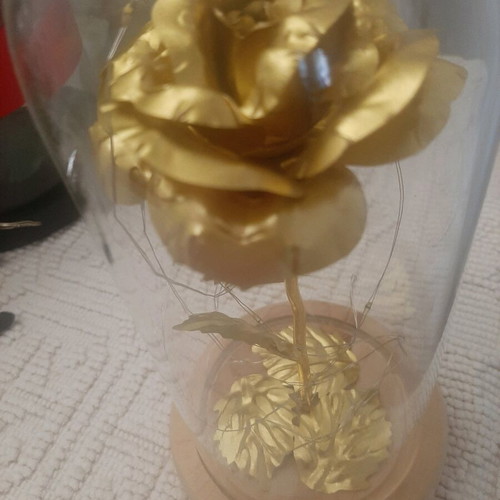 Decorative golden rose with vase and light, like new