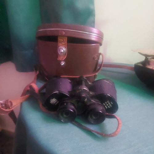 Nikon binoculars with case, vintage