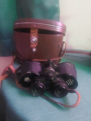 Nikon binoculars with case, vintage