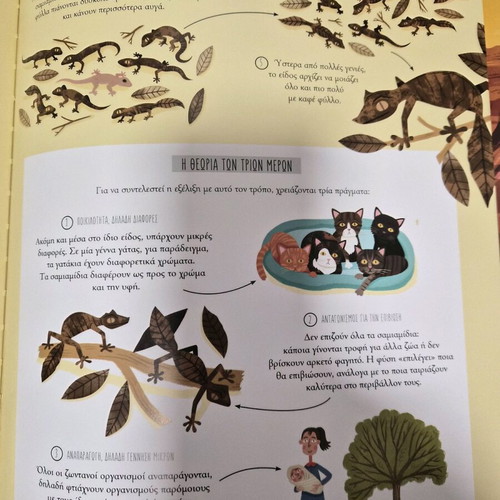 The Journey of Life - The Wonderful Evolution children's knowledge book