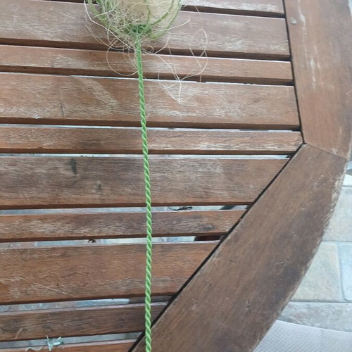Easter decoration new