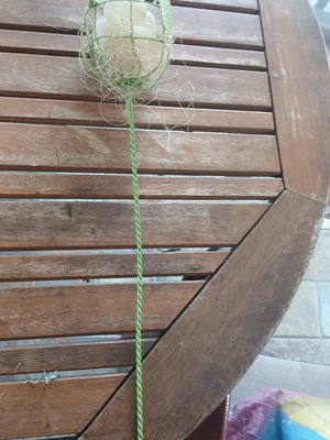 Easter decoration new