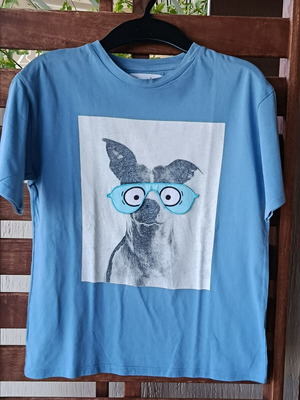 Zara Kids T-shirt with Dog and Embroidered Glasses used, size 9 years