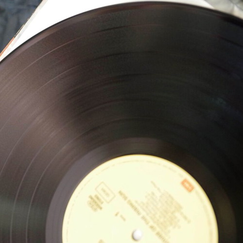 The Animals House Of The Rising Sun vinyl like new, rock