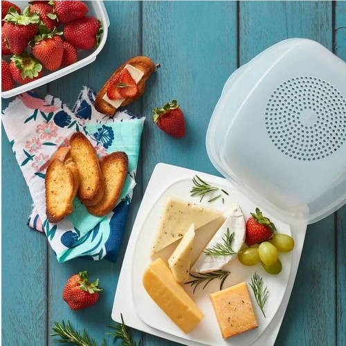 Tupperware cheeseSmart new 20x20x9.5 cm
