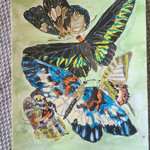 Handmade watercolor set with butterflies new