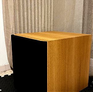 ASW 600 SUBWOOFER