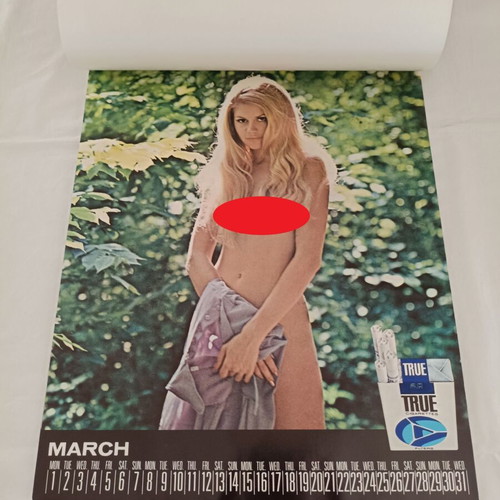 Kent Newport True rare 1971 wall calendar with semi-nude models like new