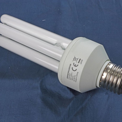 Economy Bulb E27 24W New, Warm Light