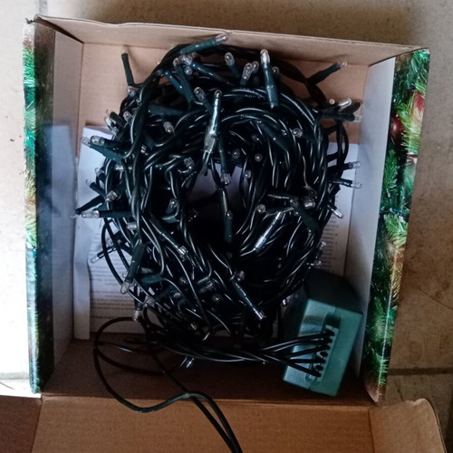 240 white Christmas lights