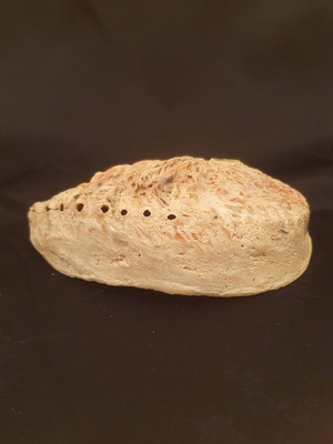 Shell used 14 x 16 cm