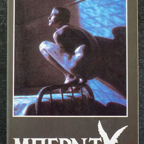 Birdy book used, William Wharton, 1986, Aquarius edition