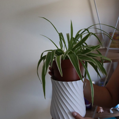 3D Printed Flowerpot Eco-Friendly, 20cm Adjustable Size