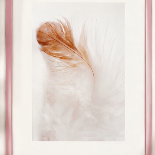 Picture frame 20×30 like new