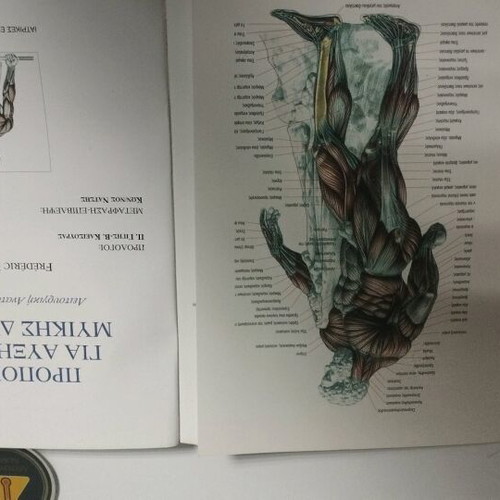 Book Training for Muscle Strength Increase like new