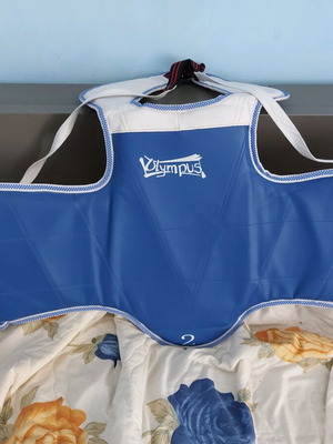 Chest protector like new