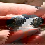  ΣΠΑΝΙΟ ΔΑΧΤΥΛΙΔΙ ΑΠΟ ΑΣΗΜΙ 925