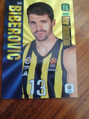 New Sensation Biberovic collectible card like new