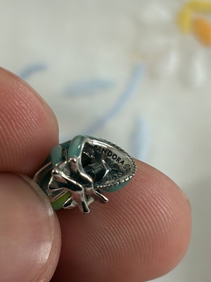 Pascal color-changing charm SS 925