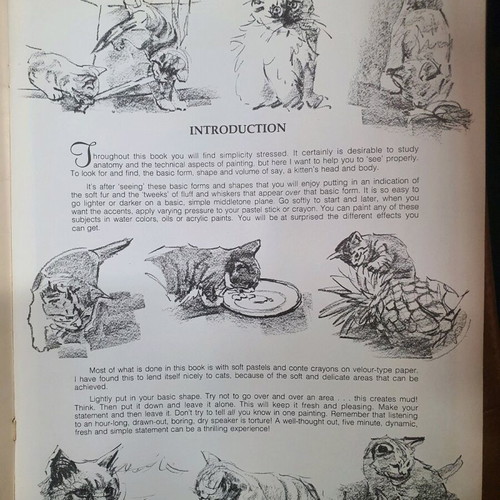 How to Draw Cats and Kittens book used