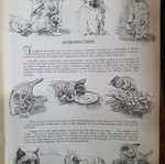 How to Draw Cats and Kittens book used