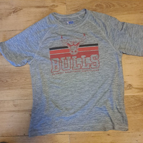 NBA Bulls men's t-shirt, gray, size L