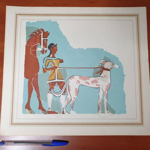 Mycenae album with 12 color plates used, lithographs