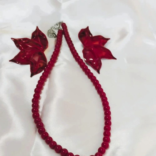 Jewelry set new burgundy color necklace and earrings