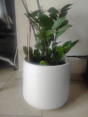 White ceramic flowerpot caspo like new