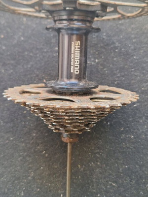 Shimano rear hub with disc brake and 8-speed cassette set