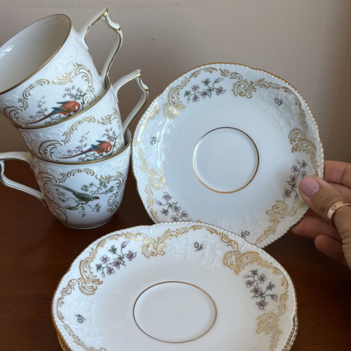 Rosenthal Sanssouci Voliere porcelain tea set with exotic birds