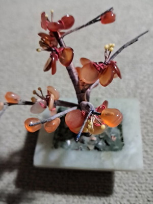 Bonsai used, 5.5cm by 4.5cm, height 9cm