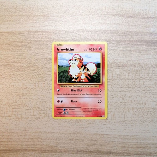 Pokémon Growlithe Evolutions 2016 Common Card Near Mint