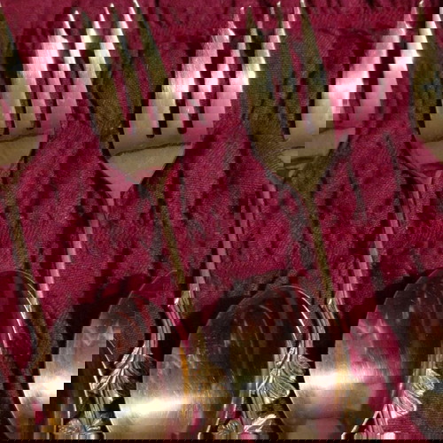 Комплект прибори употребявани, 6 вилици, 5 чаени лъжички, 2 големи лъжици, шпатула