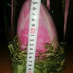 Large handmade chocolate egg new