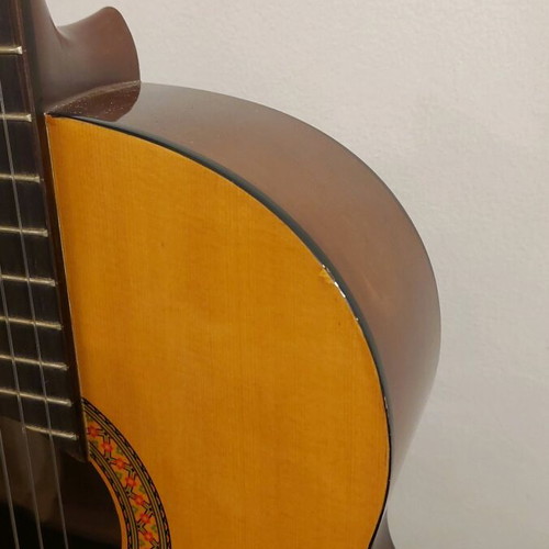 Yamaha C40 classical guitar with Ritter RCG400-C case like new