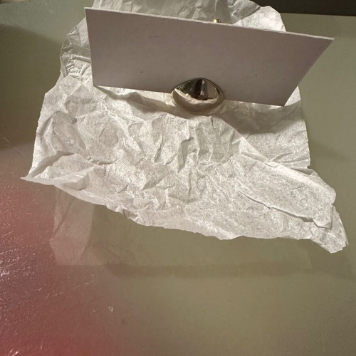 Stainless steel pear place card holders new