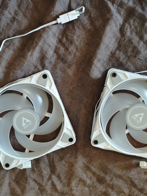 Arctic P12 PWM PST 0dB Case Fan 120mm with ARGB Lighting, pack of 2, white