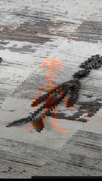 Το μυρμήγκι από τον Ροζ Πάνθηρα σπάνια φιγούρα