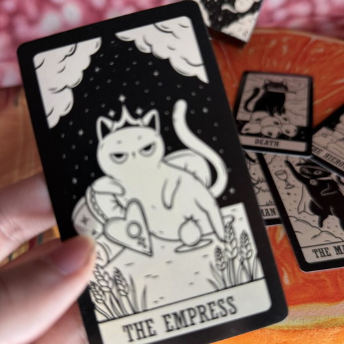 Kitten Tarot card deck like new, black and white cat illustrations