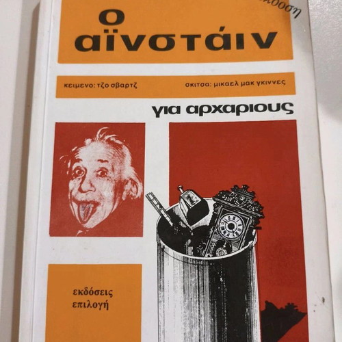 Einstein for Beginners book used