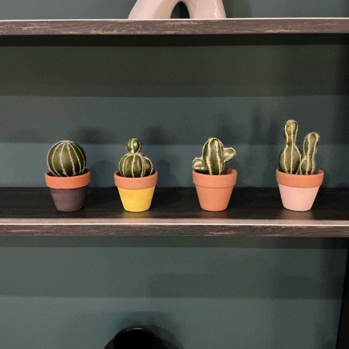Set of 4 decorative cacti in small pots like new