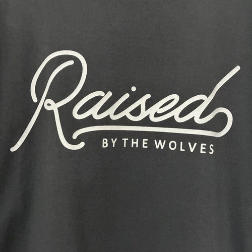Hvnt T-shirt size L like new, gray