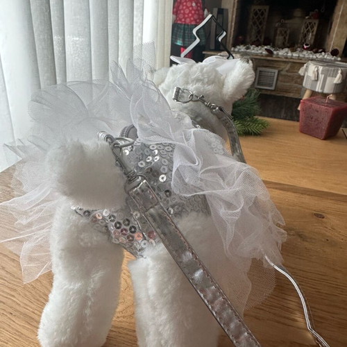 Doggie Star Bag Like New White With Silver Sequin