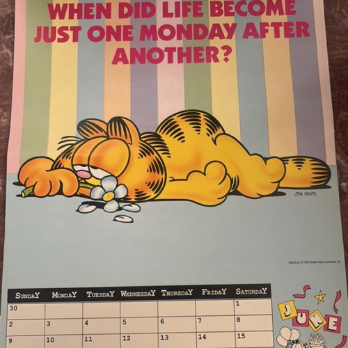 Garfield 1978 calendar used